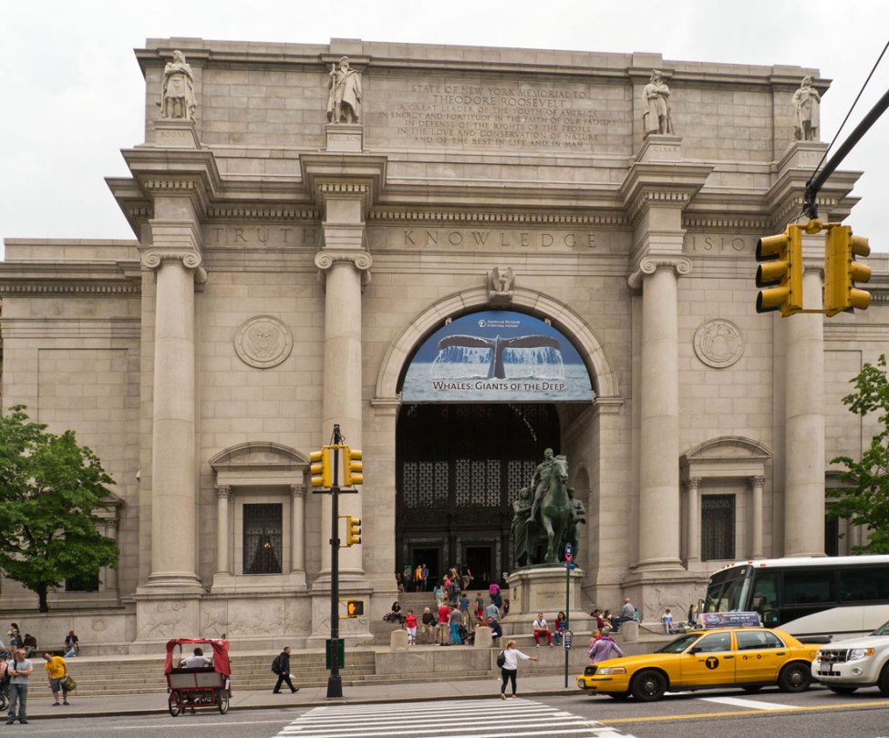 The NY-Museum of Natural History.